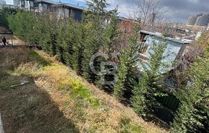 Baglica'da Yüksek Tavanli 350m2 4+1 Natamam 3 Katli Villa