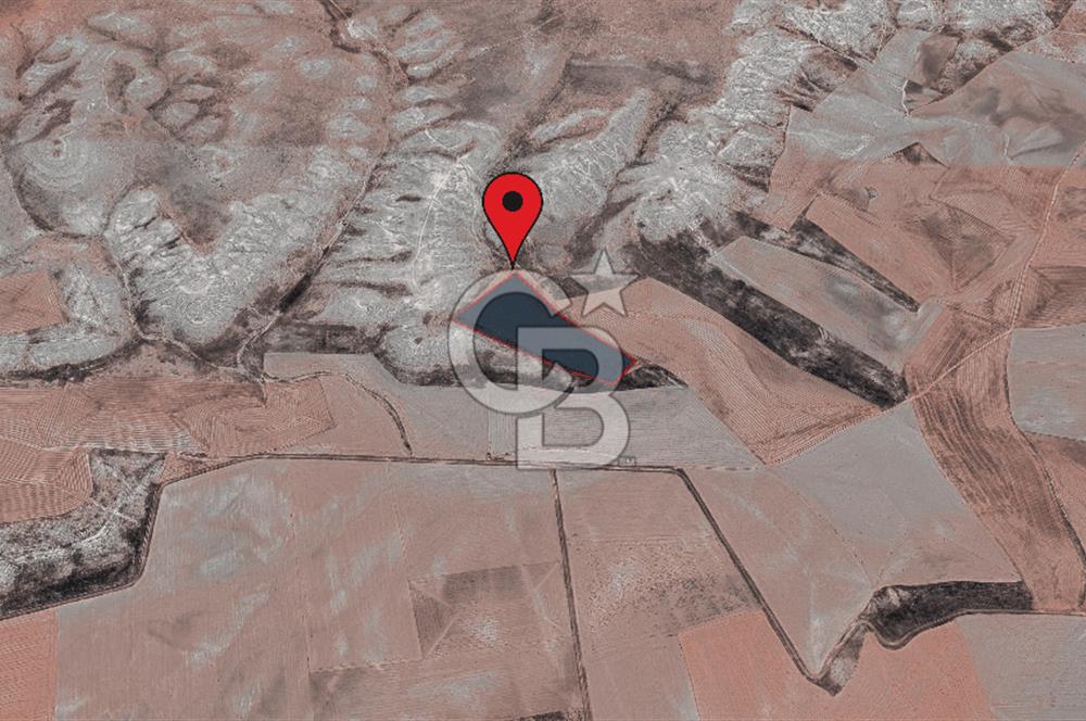 Aşağıkepen’de 25.100 m² Satılık Tarla