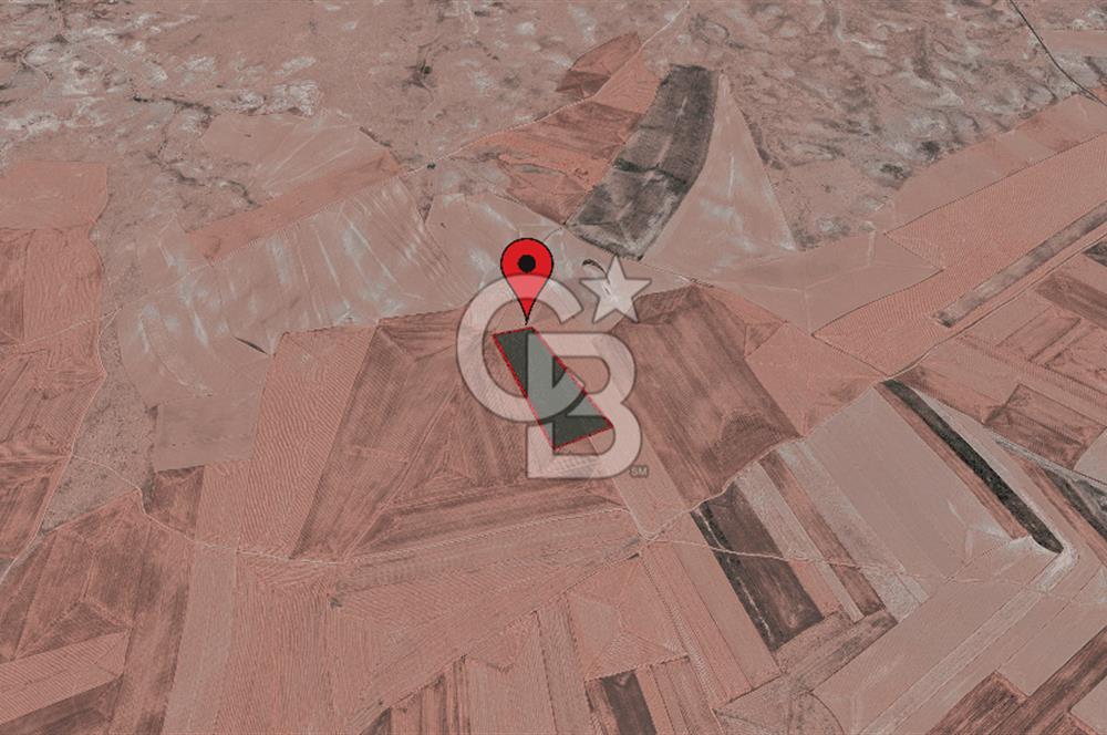 Sivrihisar Yeşilköy’de 50.250 m² Satılık Tarla