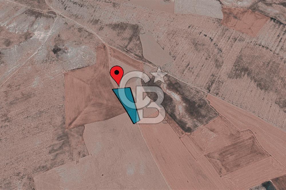 Sivrihisar Yeşilköy’de 16.667 m² Satılık Tarla