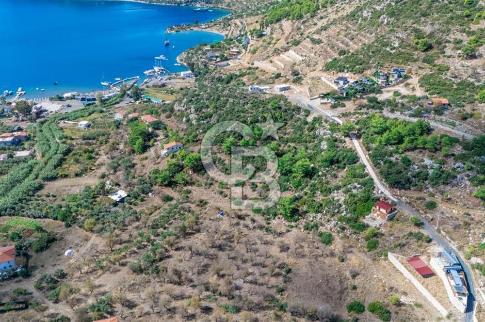MARMARİS SÖĞÜT'TE 319M2 DENİZ MANZARALI TARLA