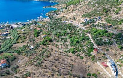 MARMARİS SÖĞÜT'TE 319M2 DENİZ MANZARALI TARLA