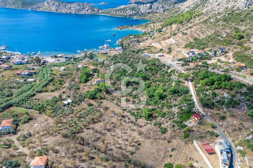 MARMARİS SÖĞÜT'TE 319M2 DENİZ MANZARALI TARLA