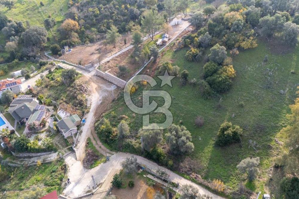 Şirinköy'de Doğayla İç İçe Köy İçi İmarlı 2.500 m² Arsa