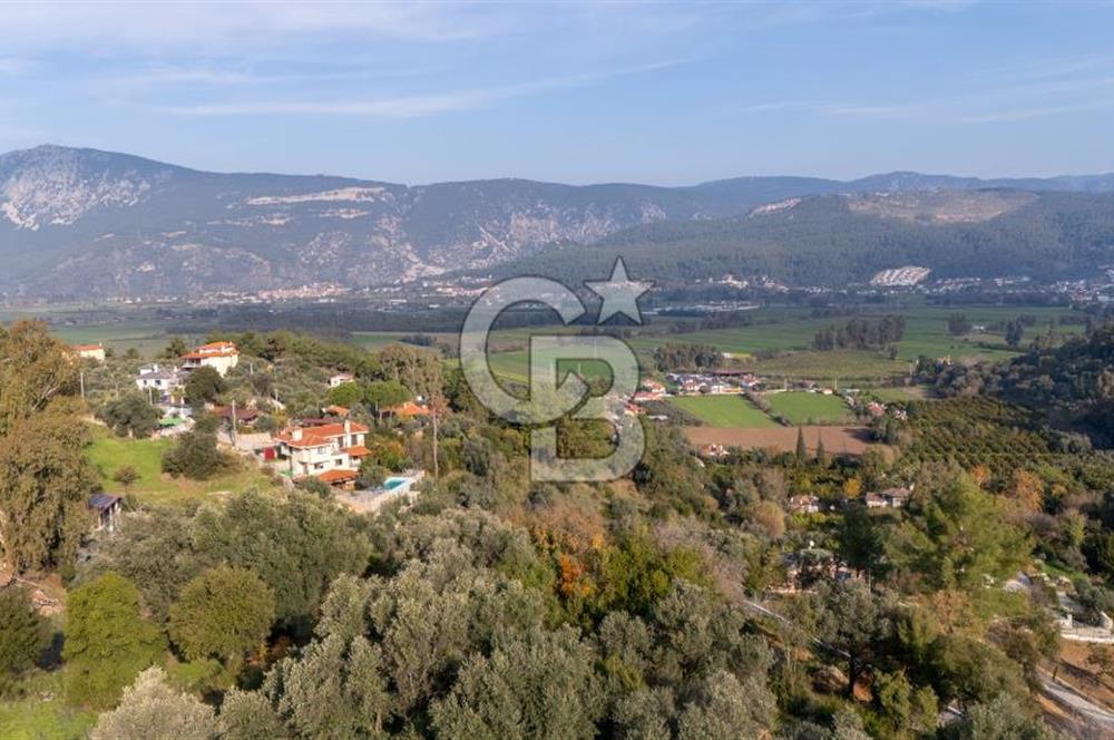 Şirinköy'de Doğayla İç İçe Köy İçi İmarlı 2.500 m² Arsa