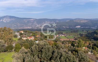 Şirinköy'de Doğayla İç İçe Köy İçi İmarlı 2.500 m² Arsa