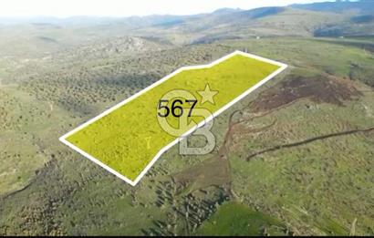 İZMİR DİKİLİ BÖLGESİNDE YATIRIM FIRSATI