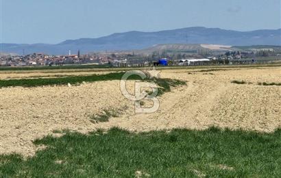 SİNCAN YENİKENT MÜLK KÖYÜ TEK TAPU SATILIK ARSA