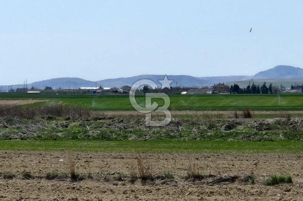 SİNCAN YENİKENT MÜLK KÖYÜ TEK TAPU SATILIK ARSA