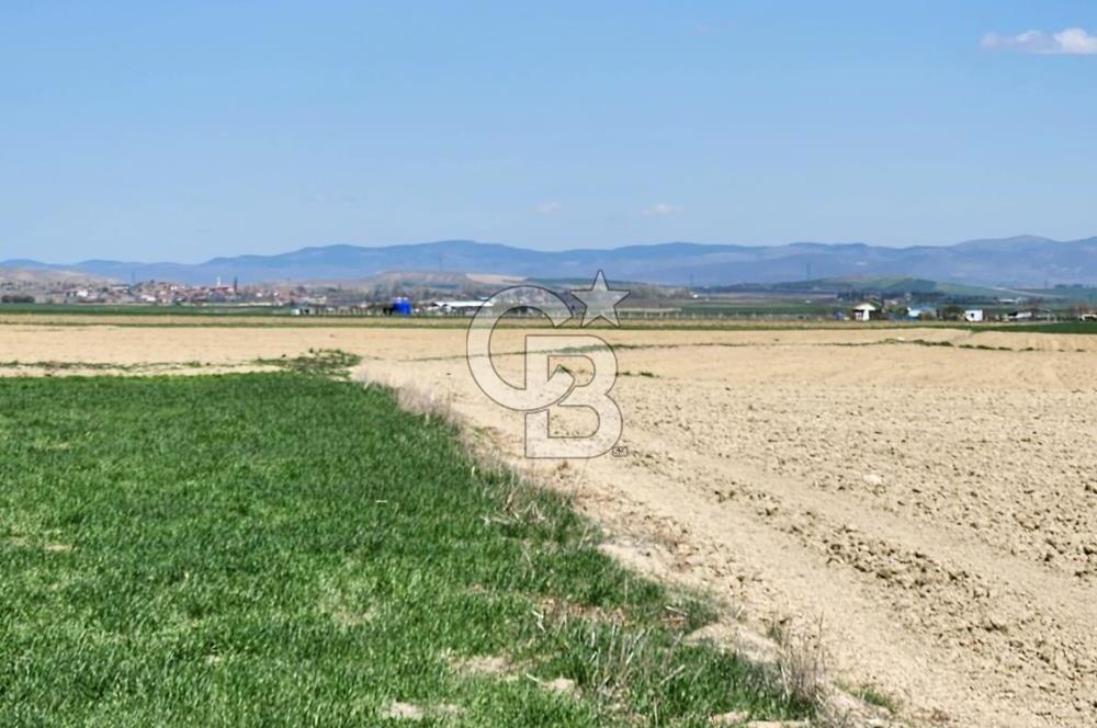 SİNCAN YENİKENT MÜLK KÖYÜ TEK TAPU SATILIK ARSA