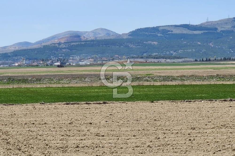 SİNCAN YENİKENT MÜLK KÖYÜ TEK TAPU SATILIK ARSA