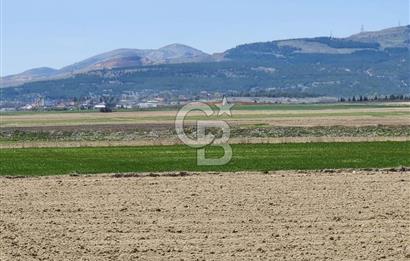 SİNCAN YENİKENT MÜLK KÖYÜ TEK TAPU SATILIK ARSA