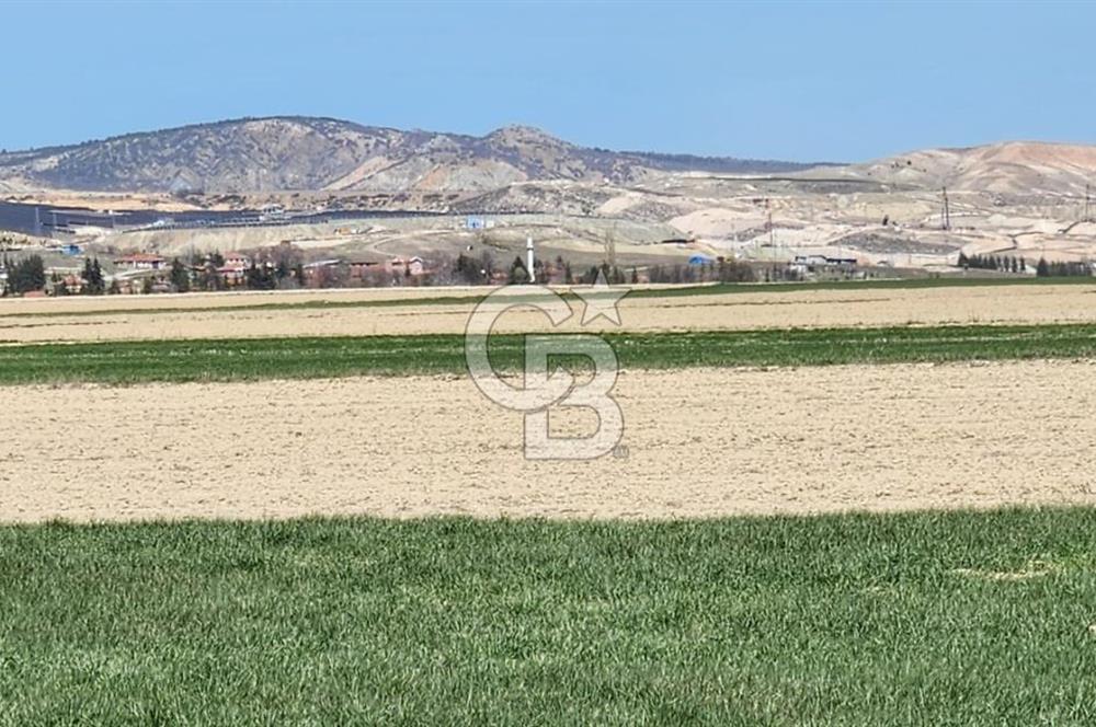SİNCAN YENİKENT MÜLK KÖYÜ TEK TAPU SATILIK ARSA