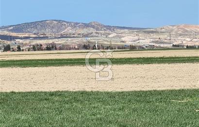 SİNCAN YENİKENT MÜLK KÖYÜ TEK TAPU SATILIK ARSA