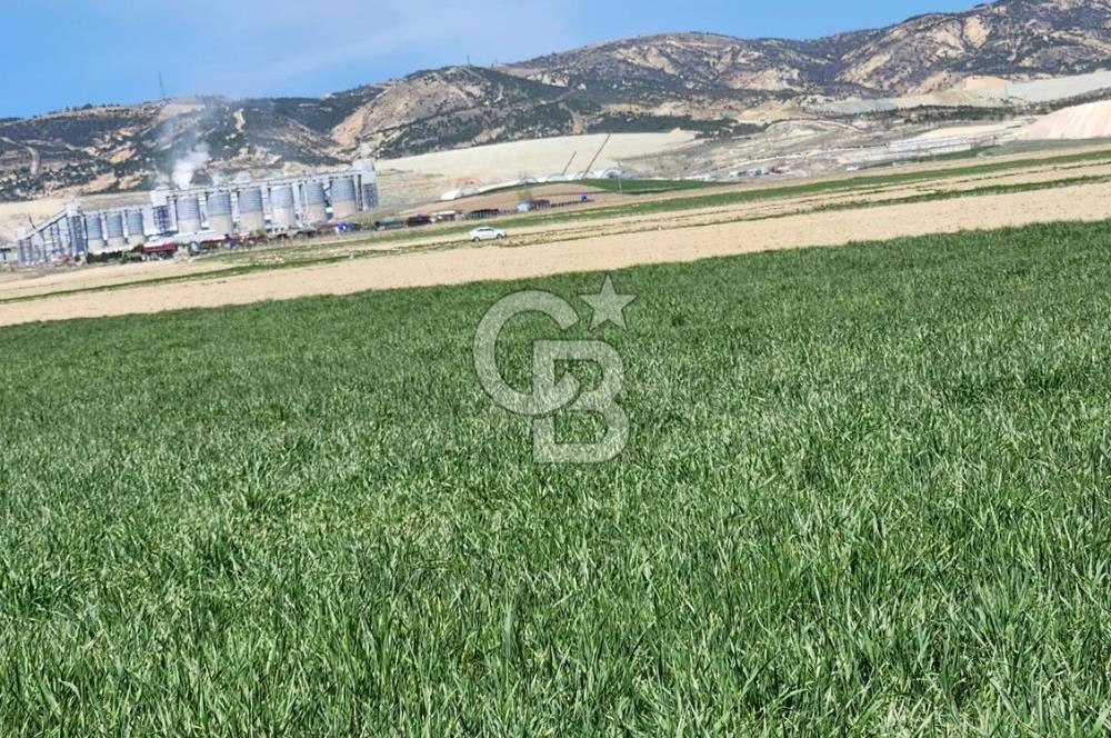 SİNCAN YENİKENT MÜLK KÖYÜ TEK TAPU SATILIK ARSA