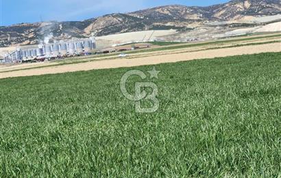 SİNCAN YENİKENT MÜLK KÖYÜ TEK TAPU SATILIK ARSA