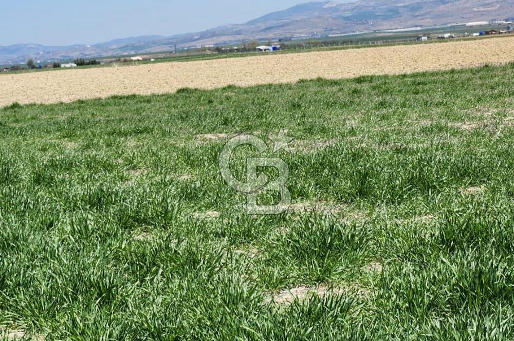 SİNCAN YENİKENT MÜLK KÖYÜ TEK TAPU SATILIK ARSA