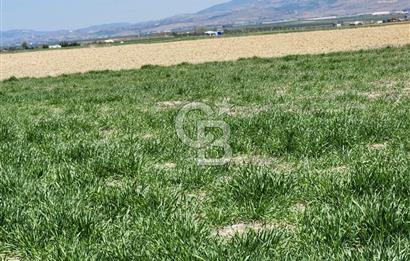 SİNCAN YENİKENT MÜLK KÖYÜ TEK TAPU SATILIK ARSA