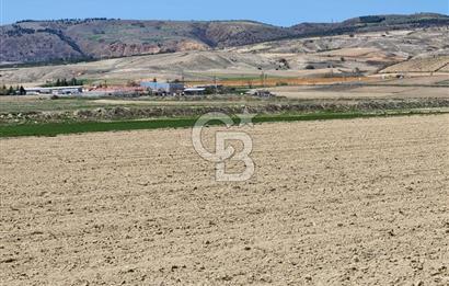 SİNCAN YENİKENT MÜLK KÖYÜ TEK TAPU SATILIK ARSA