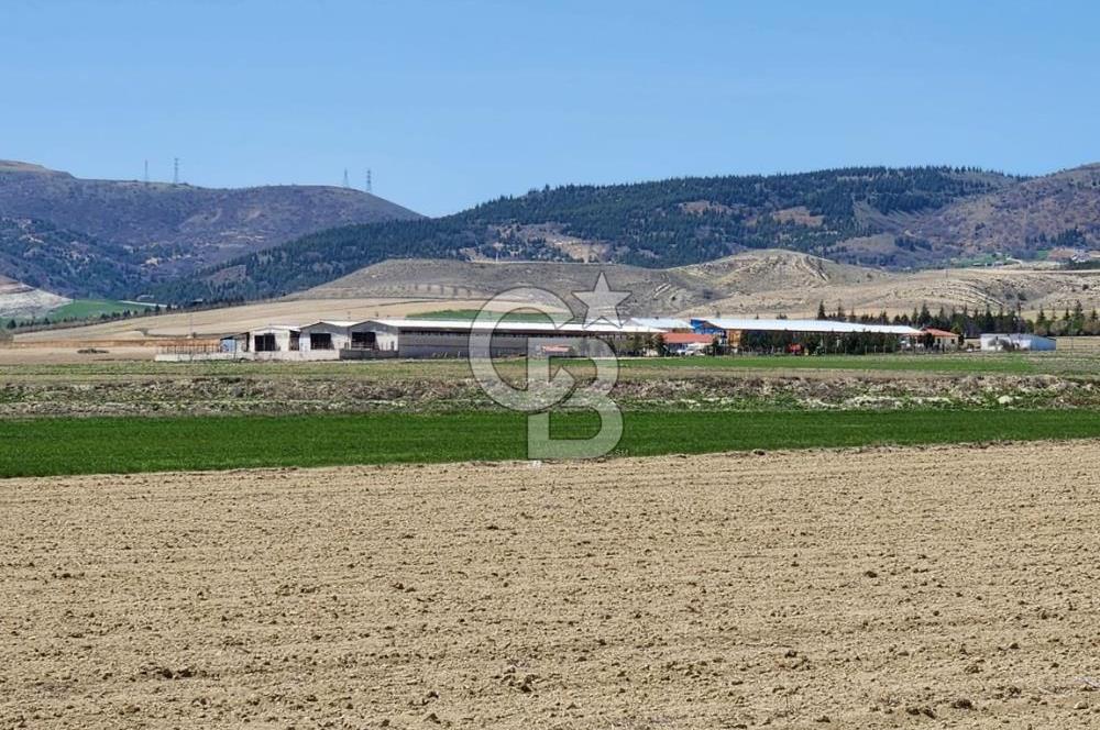 SİNCAN YENİKENT MÜLK KÖYÜ TEK TAPU SATILIK ARSA
