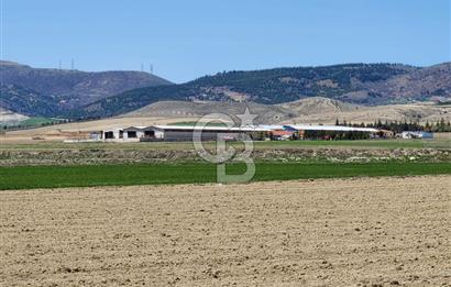 SİNCAN YENİKENT MÜLK KÖYÜ TEK TAPU SATILIK ARSA