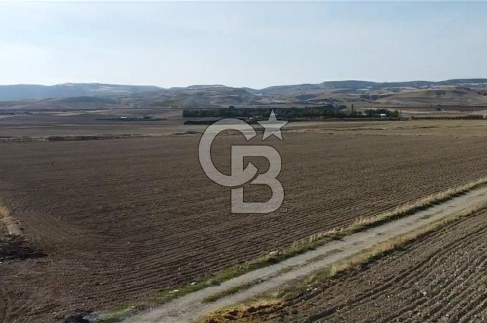 SİNCAN YENİKENT MÜLK KÖYÜ TEK TAPU SATILIK ARSA