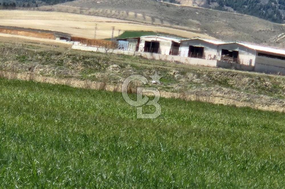 SİNCAN YENİKENT MÜLK KÖYÜ TEK TAPU SATILIK ARSA