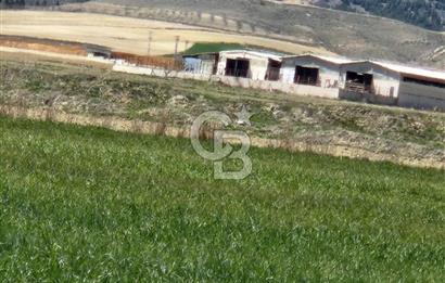 SİNCAN YENİKENT MÜLK KÖYÜ TEK TAPU SATILIK ARSA