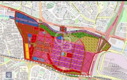 TİMKO KOOPERATİF ŞEKER HİSSESİ