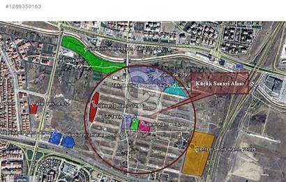 TİMKO KOOPERATİF ŞEKER HİSSESİ