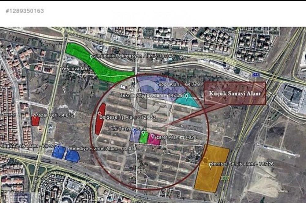 TİMKO KOOPERATİF ŞEKER HİSSESİ