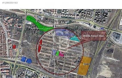 TİMKO KOOPERATİF ŞEKER HİSSESİ