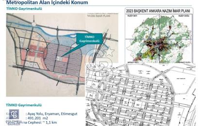 TİMKO KOOPERATİF ŞEKER HİSSESİ
