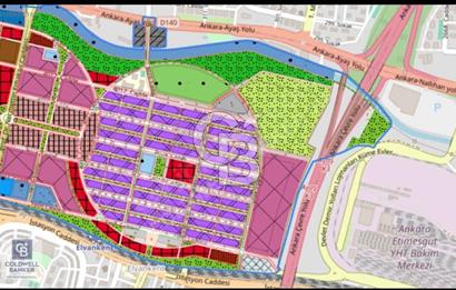 TİMKO KOOPERATİF ŞEKER HİSSESİ