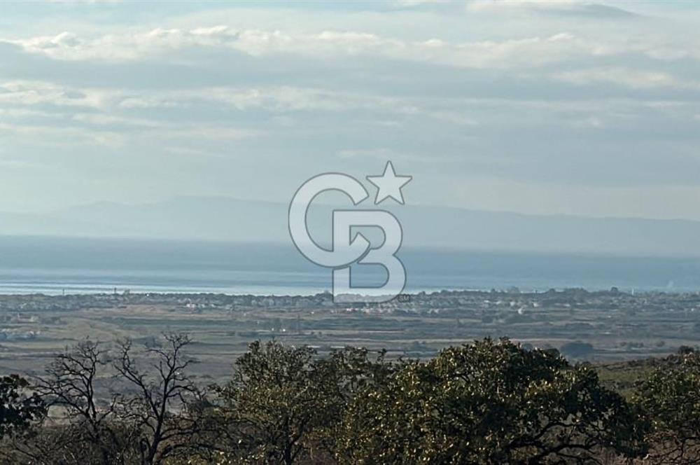 İZMİR DİKİLİ BÖLGESİNDE YATIRIM FIRSATI