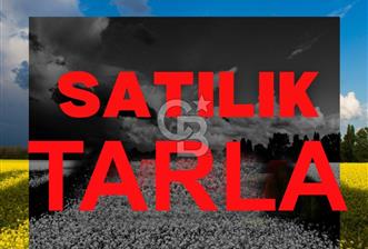 GÖLBAŞI ELMALIBAHÇEM SATILIK HOBİ BAHÇESİ - 7 - 322343