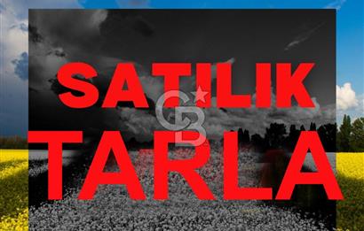 GÖLBAŞI ELMALIBAHÇEM SATILIK HOBİ BAHÇESİ