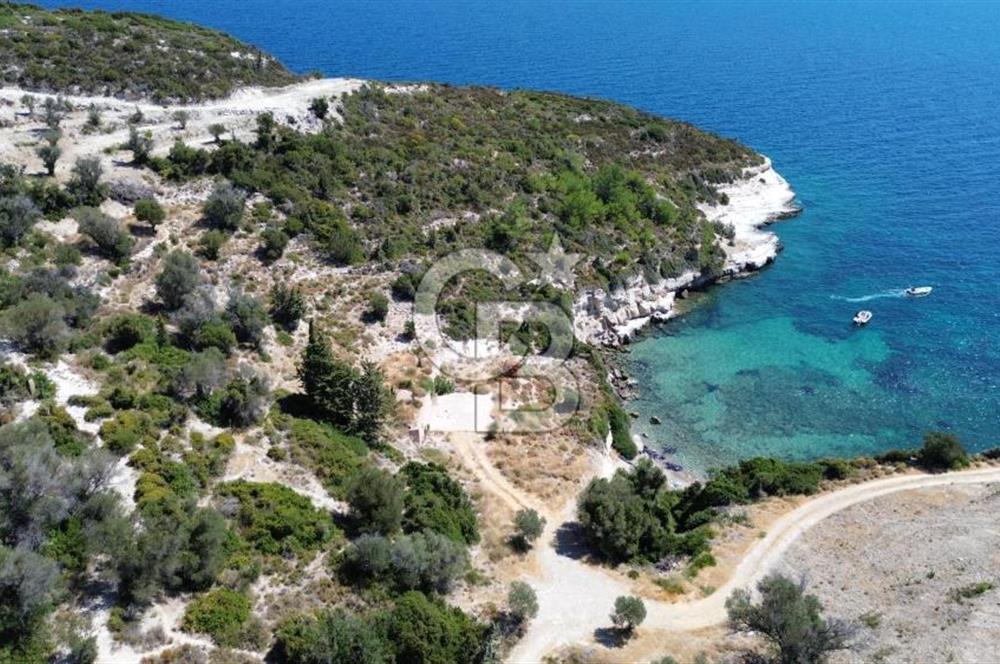 Karaburun Anbarseki'de 1659 m² Denize Sıfır Tarla