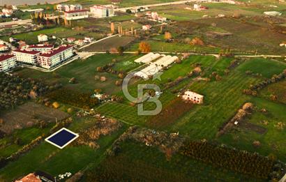 Lapseki Çardak Merkez Hemen İnşaat Yapılabilir Villa Arsası