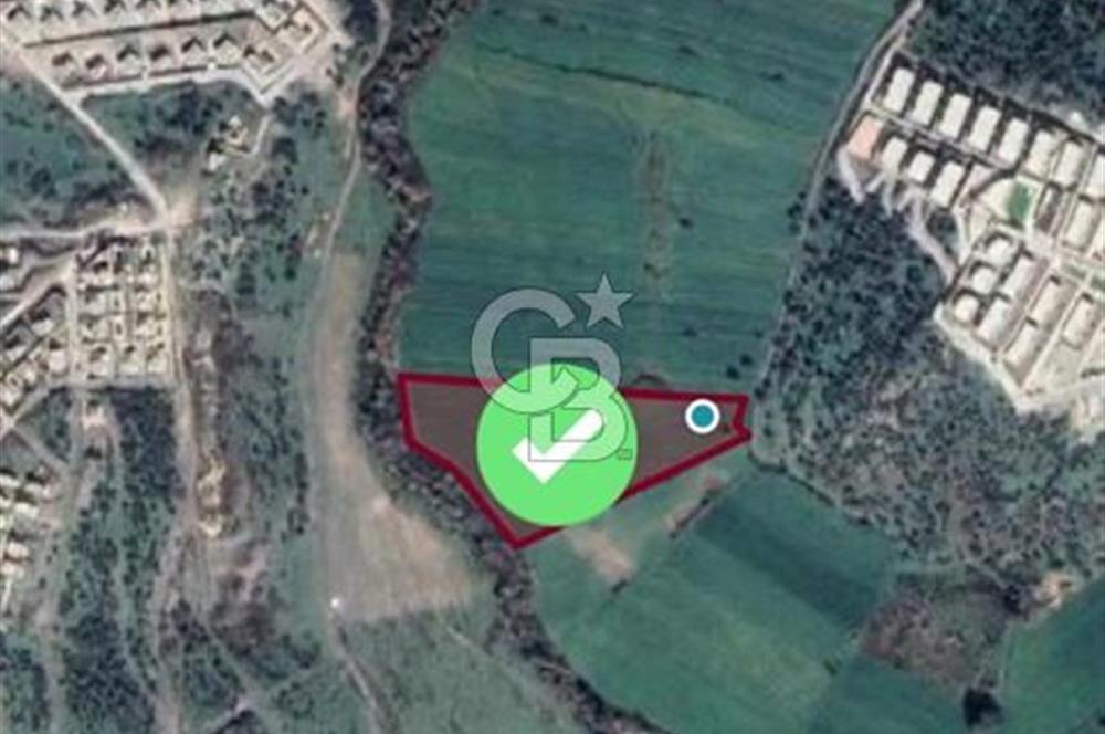 MUĞLA / BODRUM / MİLAS – BÖRDELİK DÖRTTEPE MEVKİİNDE YATIRIMLIK ARAZİ