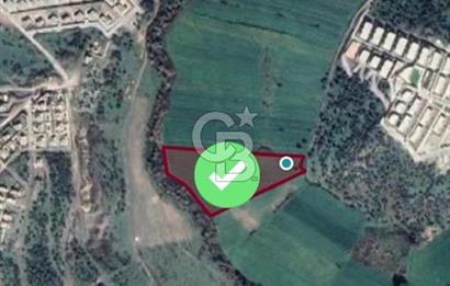 MUĞLA / BODRUM / MİLAS – BÖRDELİK DÖRTTEPE MEVKİİNDE YATIRIMLIK ARAZİ