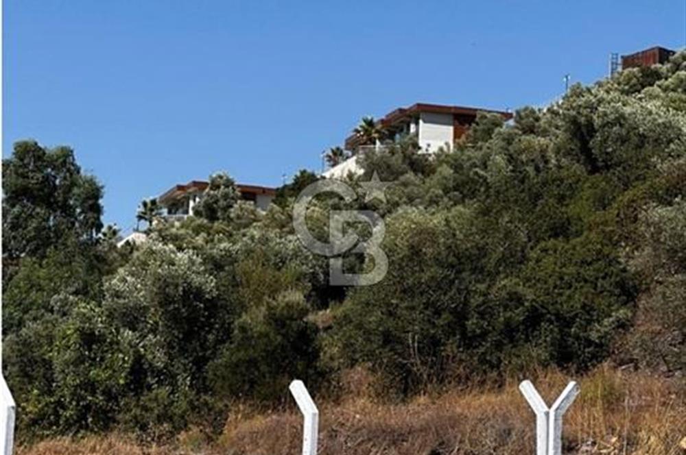 MUĞLA / BODRUM / MİLAS – BÖRDELİK DÖRTTEPE MEVKİİNDE YATIRIMLIK ARAZİ