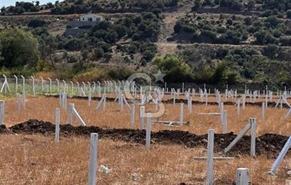 MUĞLA / BODRUM / MİLAS – BÖRDELİK DÖRTTEPE MEVKİİNDE YATIRIMLIK ARAZİ