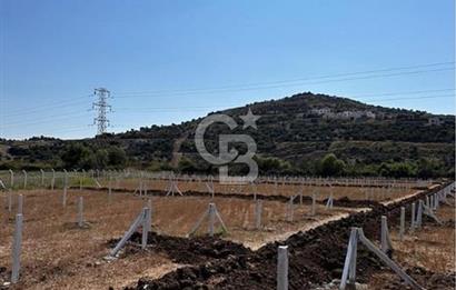 MUĞLA / BODRUM / MİLAS – BÖRDELİK DÖRTTEPE MEVKİİNDE YATIRIMLIK ARAZİ