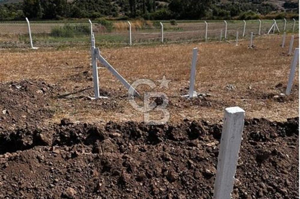 MUĞLA / BODRUM / MİLAS – BÖRDELİK DÖRTTEPE MEVKİİNDE YATIRIMLIK ARAZİ