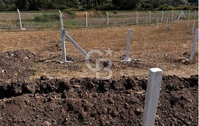 MUĞLA / BODRUM / MİLAS – BÖRDELİK DÖRTTEPE MEVKİİNDE YATIRIMLIK ARAZİ