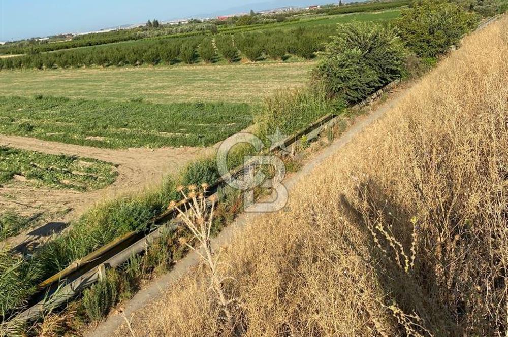 MENEMEN YANIKKÖYDE SATILIK BAĞ
