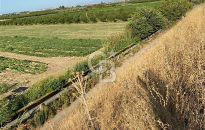 MENEMEN YANIKKÖYDE SATILIK BAĞ