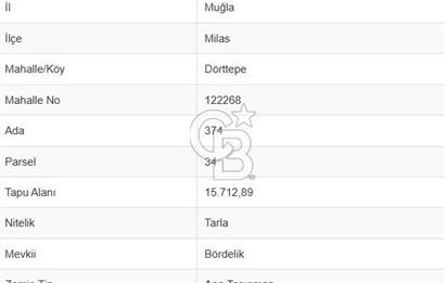 MUĞLA / BODRUM / MİLAS – BÖRDELİK DÖRTTEPE MEVKİİNDE YATIRIMLIK ARAZİ