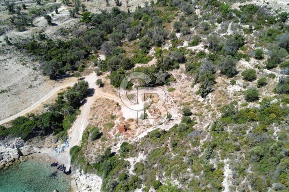 Karaburun Anbarseki'de 1659 m² Denize Sıfır Tarla